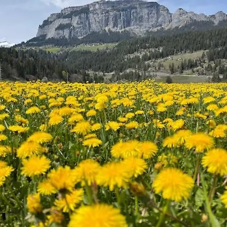 Mit Fantastischer Aussicht