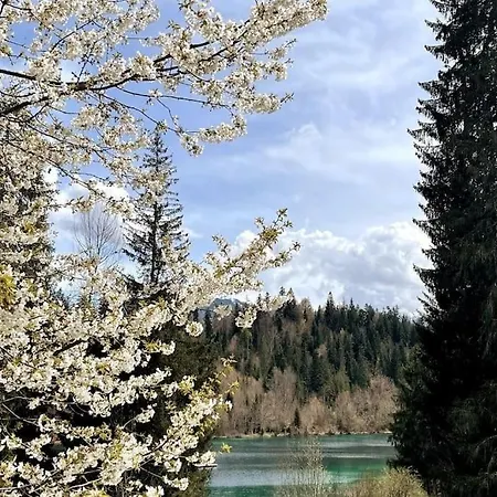 公寓 Mit Fantastischer Aussicht