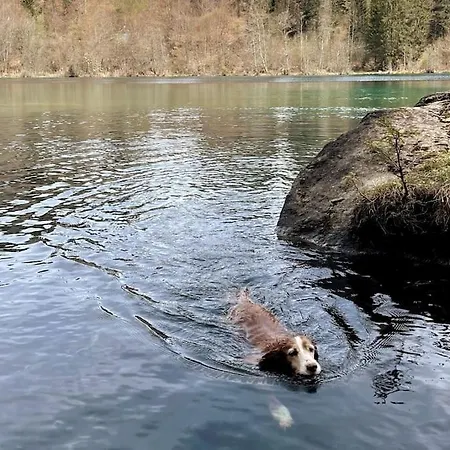 Mit Fantastischer Aussicht Apartamento