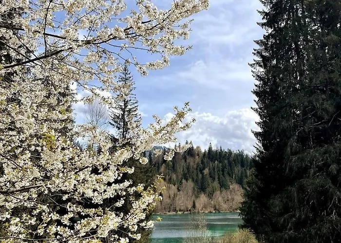 Appartement Mit Fantastischer Aussicht