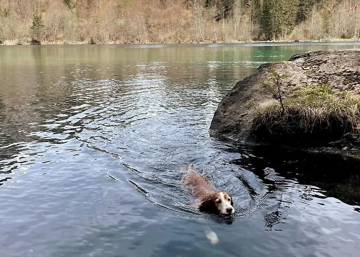Mit Fantastischer Aussicht Apartment