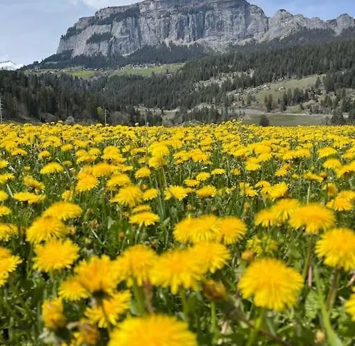 Mit Fantastischer Aussicht